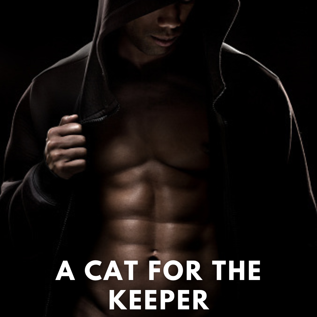 A Cat for the Keeper Romance Story